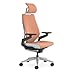 Steelcase Gesture 360° Armrest Ergonomic Office Chair with 3D Live Back Lumbar Support and Adjustable Headrest Peach