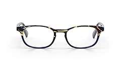 Blue Tortoise and Blue Front With Blue Tortoise Temples