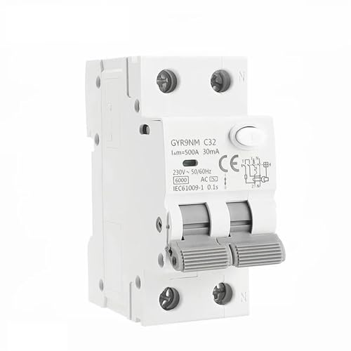 Disjoncteur magnétique haut rendement RCBO 2P 40A GYR9NM pour une protection électrique durable