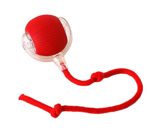 LIFECOSM Interactive Rolling Ball Electric Dog Ball Self-Rolling Smart Automatic 360 Pet Toys for Dogs & Cats