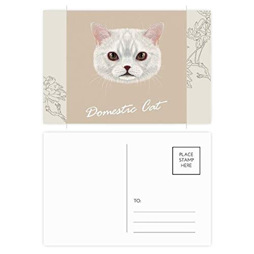 Jeu de cartes postales animaux chat blanc fleur lot de 20 cartes merci multicolore