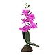 Lucky Reptile Scape it Easy - Orchidee klein lila ca. 35 cm - Dekopflanze für Terrarien
