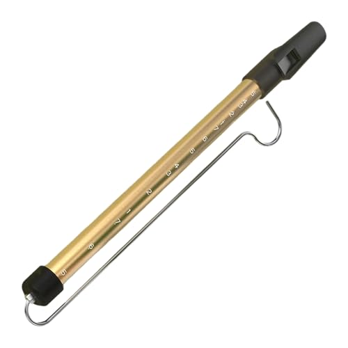 XChzCbXXChbhtnhwht[gʔy퉹yߋg₷nhwh