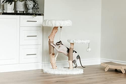 Rizzo Modern Cat Tree Tower, Natural Branch Cat Condo, Luxury Wood Cat Tower, Cat Scratching Tree, Cat Condo, Cat Lover Gift, Luxury Cat, Cat Gifts by Mau Lifestyle