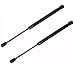 13.03 Inch 2Pcs Liftgate Trunk Struts Lift Supports Compatible with Mini Cooper 2012-2015 Must Check Descrip for Detail W/O Roadster 51242759034 Shock Gas Spring Cylinder Rear Back Tailgate Hatch