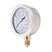 Aulic Pressure, 0 400BAR 0 5800PSI G1/4 Thread, 68mm Dial with Double Scale, Metal Manometer for Air, Oil Pressure urement in Industrial and Home Use
