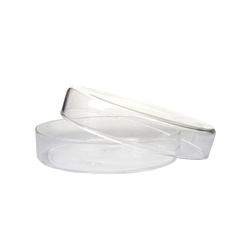 KENZIUM - Pack 10 x Placas de Petri | Diámetro 80 mm | Vidrio Borosilicato 3.3 | Ideal para Laboratorio y Educación