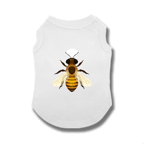 [XANPYO] ybg ^ ^ Ȑ Lm ʋC  ₩ Ăh Eѕی U o 3XL ƒ  lGʗp ybg  hbOEFA xXg t@bV lC Ȃ їh~