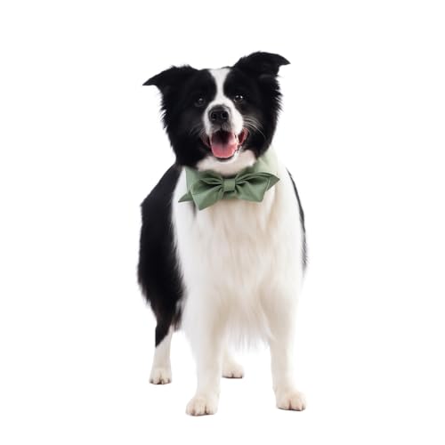 Lovelyshop Pet Bow Tie Collar, Sage Green Satin, Formal Dog