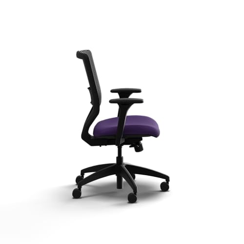 Image of HON Solve Office Chair, Ergonomic Office Chair Mesh Back Support, Adjustable Lumbar Support, Height Adjustable Arms, Black Frame, Iris