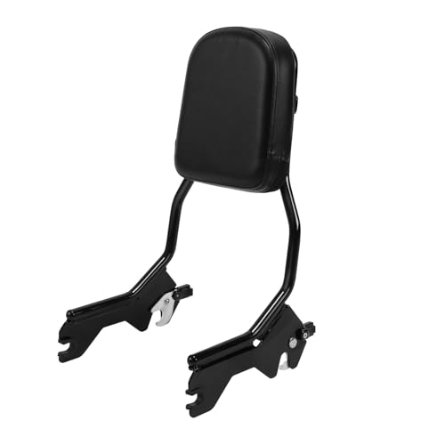 Dossier et Coussin de Moto en Acier Renforcé pour Street Bob