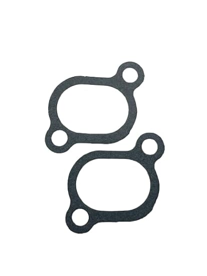 Replacement Intake Manifold Mounting Gaskets Fits Onan 154-2495, HE154-2495 Engine (Set of 2)