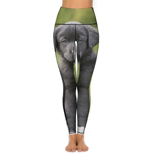 Legging sport taille haute femmes contre les irritations pantalon gym S