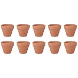 Usalo per progetti scolastici, insegnando ai bambini come coltivare piante.