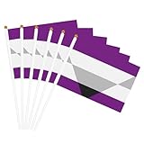 Sportflagge mit Feiertagsmotiv und Messingösen – LGBT-Pride-Flagge, aegosexuell, lichtecht, Bootsflaggen für den Rasen im Freien, 14 x 20 cm