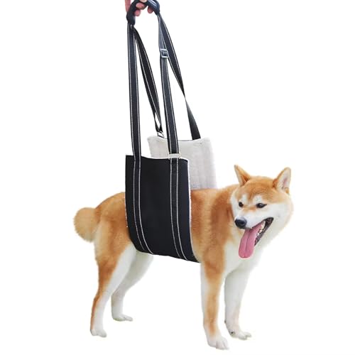 Ziyonix Harnais Réglable pour Chien, Harnais de Levage Handicapé de Rééducation Aide au Transport Réglable pour Chien Vieux Handicapé et Blessé (L)