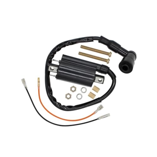 Bobina de encendido para Kawasaki Bayou 300 KLF300 (1986-2004) y motos de cross 1