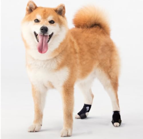 アニフル アニサポ ナックルン