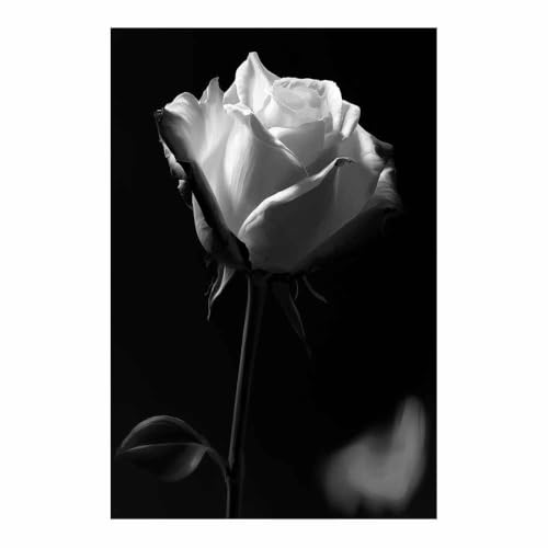 Toile murale fleurs blanches d'Humour tableau noir et blanc de salon
