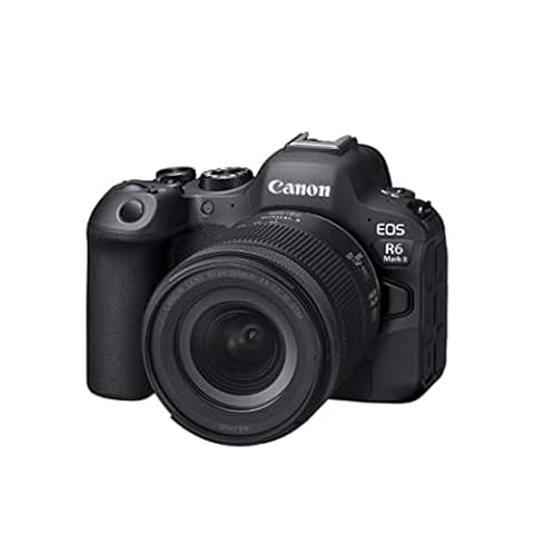 Canon Photo and Video Camera Comparison: Reliability and Thermal Limits