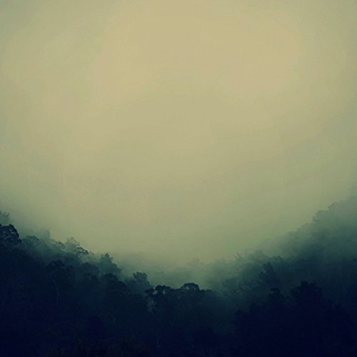 Dreaming Of Ghosts, Robot Koch, Fiora