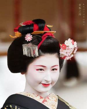 Amazon.co.jp: HALLE（ハレ）ビラかんざし 扇形 ビラ簪 簪 櫛 つまみ