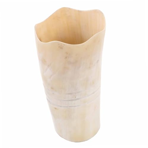 BIUDECO pt Ɠz[fUC p}OJbv r[ g R[q[ ECXL[Kp z[ItBXp[eB[ݕe