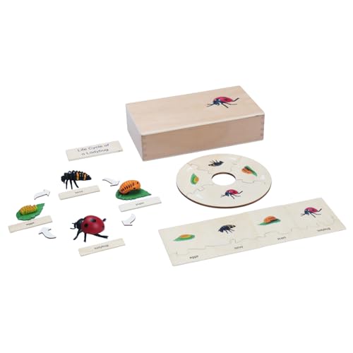 ancona Life Cycle- Ladybug, Spanish/English Bilingual, Montessori Preschool Memory Matching Game Box Set with Animal Figurines & Matching Puzzle Cards, Early Education Toy