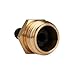Camco RV Brass Blow Out Plug - Essential RV Winterizing Tool - Heavy-Duty Brass Construction - Helps Clear Your Water Lines During RV Winterization and Dewinterization (36153)