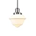 Innovations 201S-SN-G531 1 Light Mini Pendant, Brushed Satin Nickel