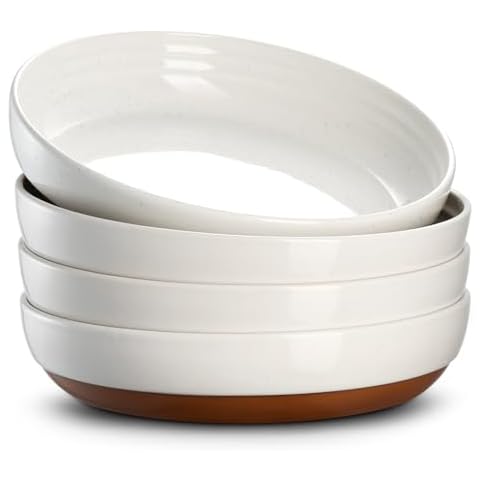 DOWAN Stoneware Pasta Bowls Set of 4 Cover