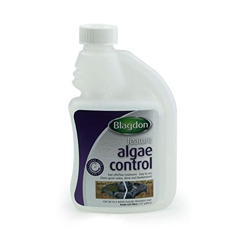 Blagdon Feature Algae Control Water Treatment, Fast Acting Effective, Clears Green Water, Slime & Blanket Weed from Free Standing Water Features, 250ml, Treats 625 Litres