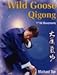 Wild Goose Qigong: 1st 64 Movements