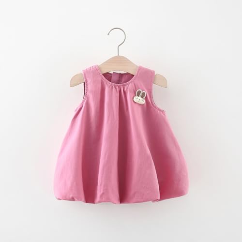 Baby Girl Summer New Dress Sweet Sleeveless Round Neck Chest Little Rabbit Accessories Back Long Ears Princess Dress2