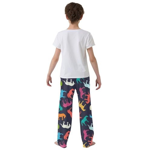 ZZXXB Colorful Horse Boys Long Pants Soft Trousers Elastic Waist Kids Lounge Bottoms with Pockets S-XL3