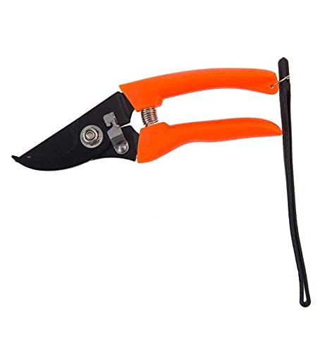 Garden Scissors Shear Branch Shrub Trim Shear Cutter Bypass Plant Orchard Anvil Tool Pruner Tree Scissor Pruning Graft Cut Bonsai Garden