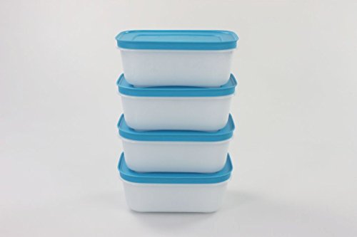 TUPPERWARE Congelatore Mates Piccolo Basso 450 ml