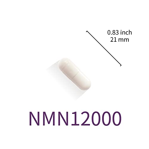 Lovita-NMN-12000-NMN-Supplement-with-Resveratrol-99-High-Purity-Nicotinamide-Mononucleotide-High-Absorption-Stabilized-Form-for-Healthy-Aging-60-Vegetarian-Capsules-Pack-of-3