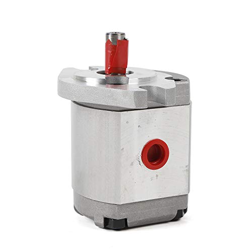 Hydraulic Gear Pump Mini High Pressure Hydraulic Gear Pump Flat Key Shaft SAE 21MPa 6ml/r 3200rpm