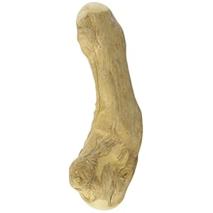 Chewies Kaffeeholz Kaustab für Hunde – Kauknochen Hunde-Spielzeug – 100 % natürliches Hundezubehör risikoarm & langlebig – Größe M: Für Hunde bis 20 kg Körpergewicht, 1er Pack