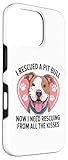 Zoom IMG-2 pitbull rescue mom dad pittie