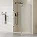 Findepot Frameless Pivot Glass Shower Door 60