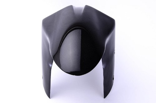 Amazon | Bestem カーボンファイバー フロントフェンダー Kawasaki