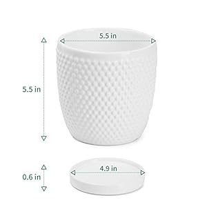 POTEY White Planters Pots for Plants Indoor 053601 5.5 Inch Glazed Ceramic Modern Vintage-Style Hobnail Textured Planters Bonsai Container with Drainage Hole & Saucer(Plants Not Included) POTEY White Planters Pots for Plants Indoor 053601 55 Inch Glazed Ceramic Modern Vintage Style Hobnail Textured Planters Bonsai Container with Drainage Hole SaucerPlants Not Included