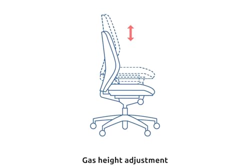 Image of FC Revolving Executive Desk Task Computer Office Ergonomic Living Room Home & Study Office Revolving Chairs (Blue)