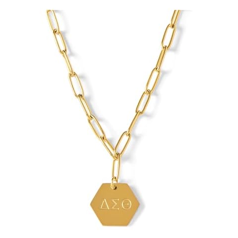 Sorority Shop Delta Sigma Theta Paperclip Necklace — DST 18K Gold Plated Sorority Gifts Necklace, Long-Lasting Delta Sigma Theta Gifts for Women Cover