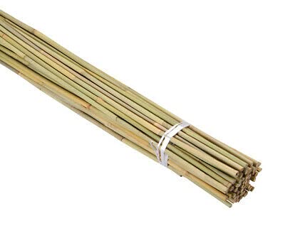 2FT-3FT-4FT-5FT-6FT Bamboo Garden Canes/Stake/Pole Garden Plant Flower Support Sticks Outdoor/Indoor Natural Strong Plants Support (25, 3ft -90cm (10-12mm))