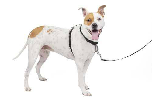 PetSafe 3-in-1 Harness, Comfortable Easy-Walk Dog Chest Harness with Front Leash Attachment to Reduce Pulling