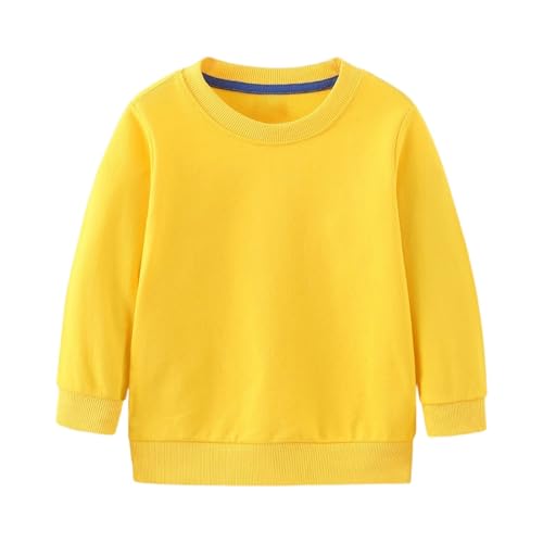 Girls Crew Neck Sweatshirt Cute Long Sleeve Fall Pullover Tshirts Lightweight Oversized Baggy Drop Shoulder Sweatshirt2