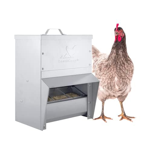 RentACoop Metal Trough Feeder with Lid & Rain Cover Galvanized Steel Gravity-Fed Side View Window Adjustable Grate for Easy Cleaning Suitable for Chickens Ducks Poultry & More 10lb Capacity